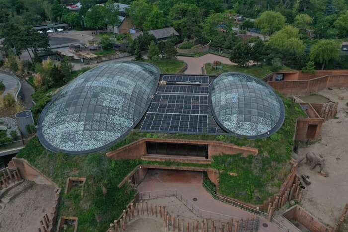 Der ZOO Kopenhagen schützt seine Arten mit der Kraft der Sonne
